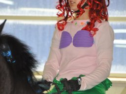 dsc_0231_web